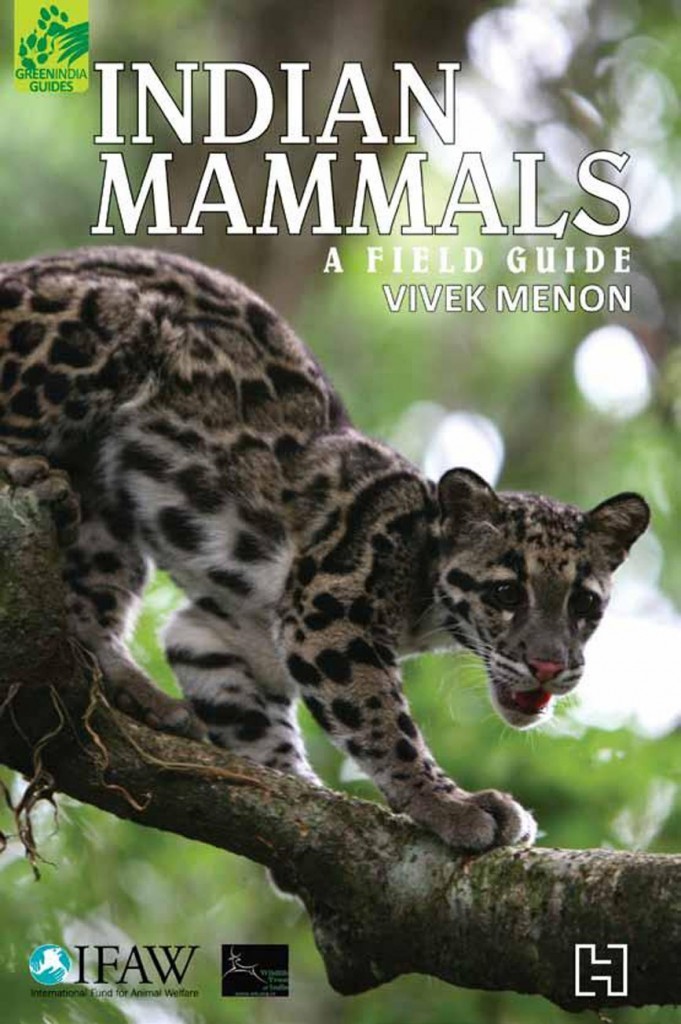 Indian Mammals - A Field Guide