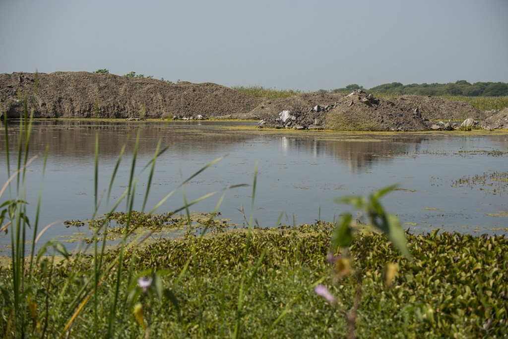 Nandur Madhyameshwar : Neglected Wetlands