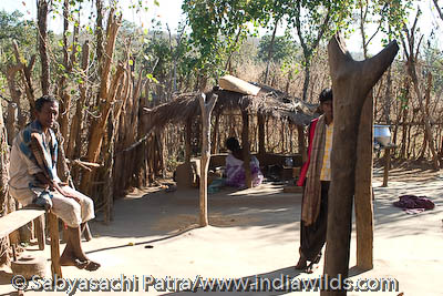 Paharia tribe in Sunabeda Sanctuary, Orissa