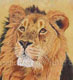 Rahul Parekh's Avatar
